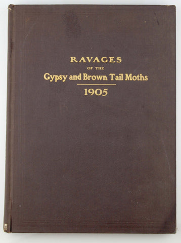 Ravages of the Gypsy and Brown Tail Moths, by In House  